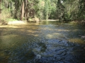 Yosemite NP